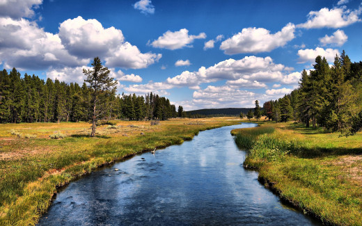 475541 (a): :2560x1600
